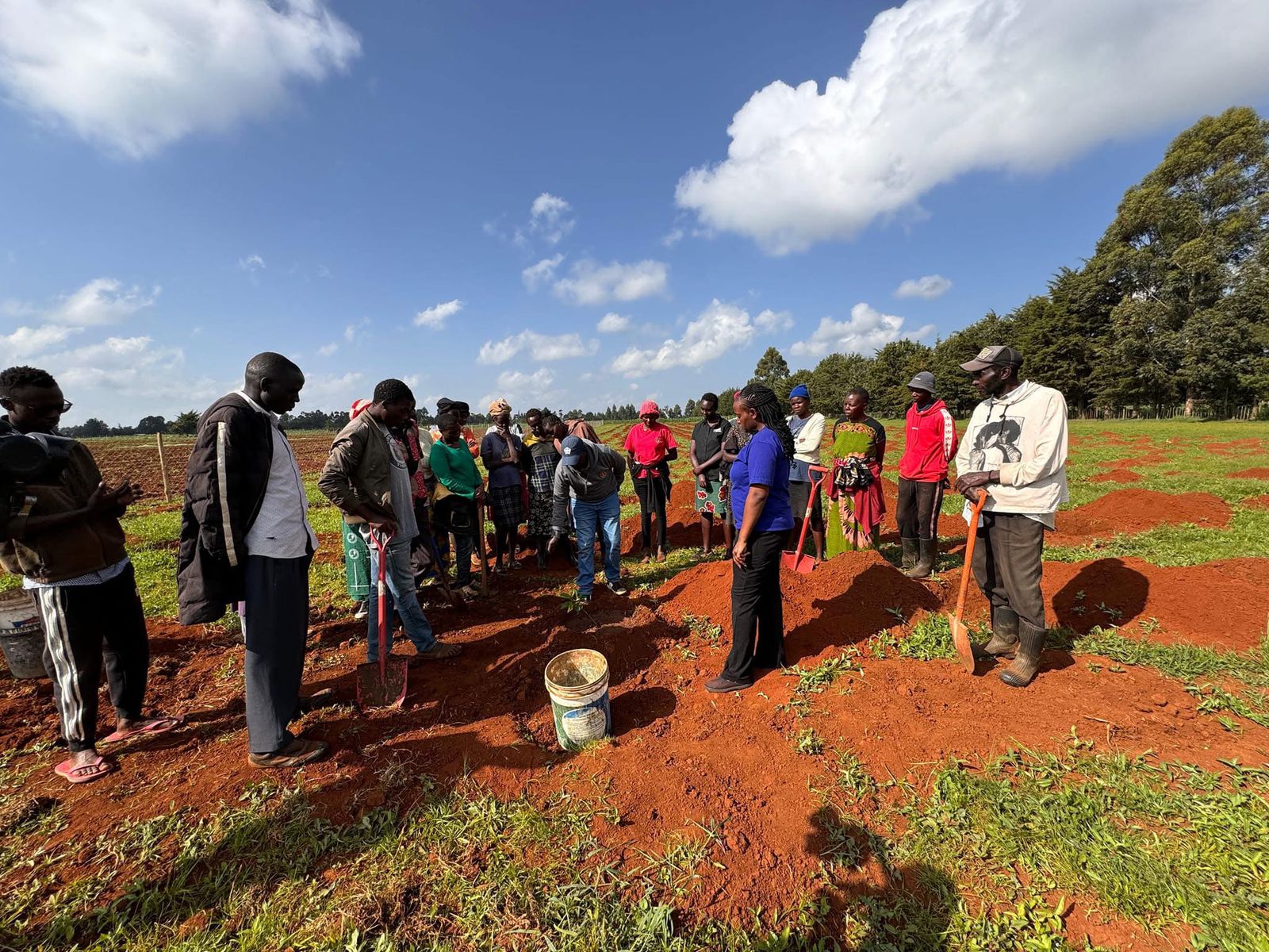 Fruits Queen Orchard Team in Laikipia